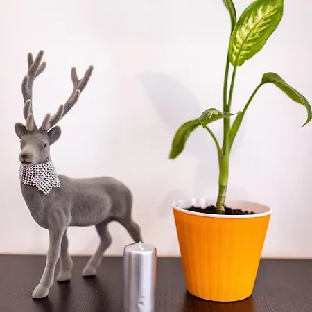 затишний відпочинок в центрі львова Appartamento Leopoli