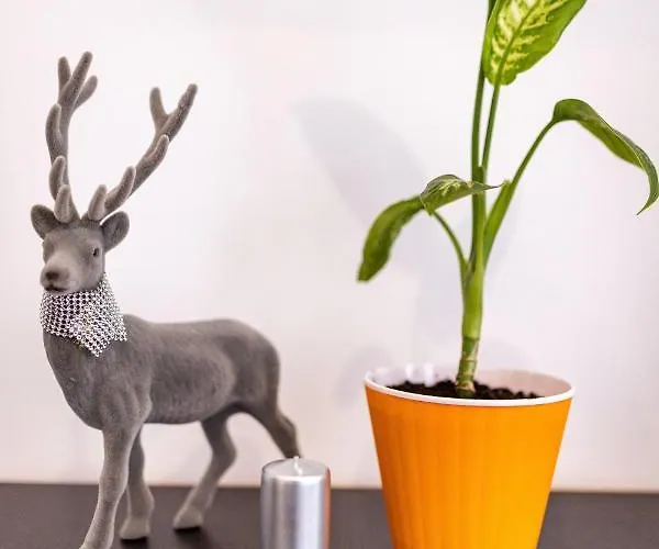 затишний відпочинок в центрі львова Lägenhet Lviv